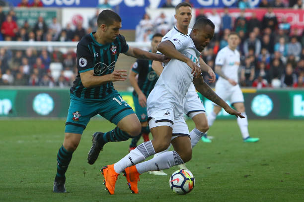 新球員融入 新球員融入